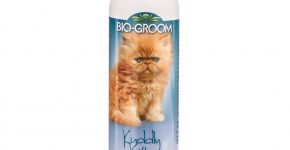БиоГрум шампунь для котят