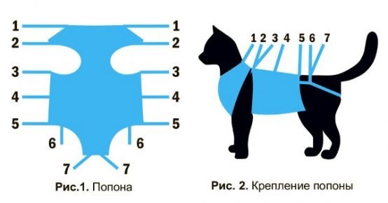 Схема фиксации попоны