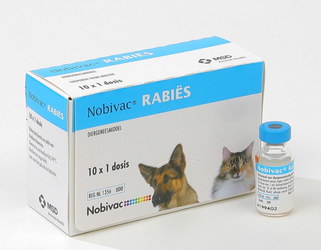 Вакцины для собак 2024. Нобивак Rabies для собак. Нобивак Rabies (10 доз/уп). Вакцина против бешенства для собак Нобивак. Нобивак 2022.