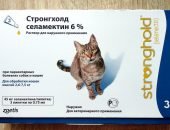 Стронгхолд 6%