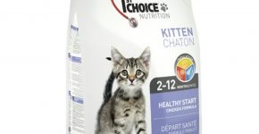 1st Choice Kitten Healthy Start