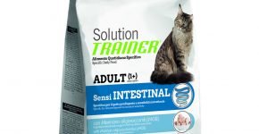 Trainer Solution Sensintestinal