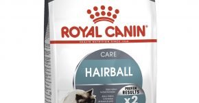 Royal Canin Hairball Care