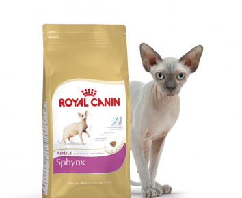 Корм Royal Canin и сфинкс