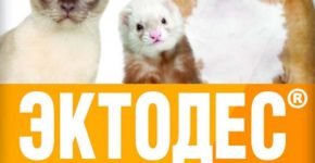 Какие капли лучше от ушного клеща у кошек thumbnail