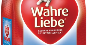 Wahre Liebe для котят