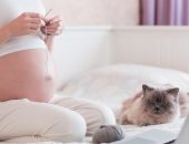 Кошка и беременная