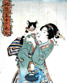 Кошка с японкой