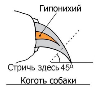 Правильный угол