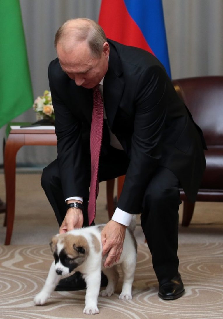 Путин и лабрадор фото