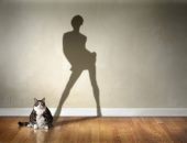 Кошка с тенью человека