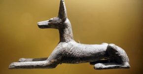 Самая первая порода собаки в мире: история появления