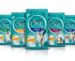 Пурина Ван для кошек: Особенности рационов питания для питомцев разных возрастов