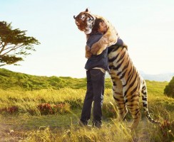 Тест: на какое животное вы похожи