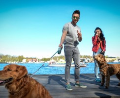 Собака танцует под песню Сергея Лазарева: вдохновляющее видео