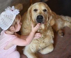 10 пород собак, которые обожают детей и никогда не навредят им