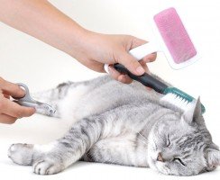 Машинка для стрижки кошек в домашних условиях: Полезный инструмент для быстрого груминга