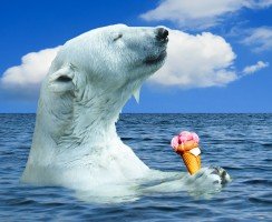 Правда или ложь? Находим самых необычных животных планеты среди фотошопа