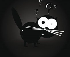 Тест на узнаваемость кошачьих пород