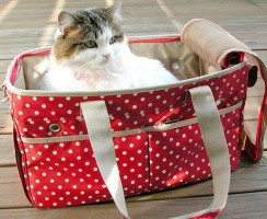Сумка-переноска для кошек: Комфортное путешествие для питомца