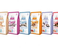 Корм для кошек Brit: Отзывы и рекомендации ветеринаров