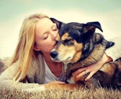 6 признаков, что ваша собака вас обожает