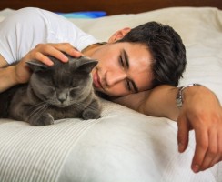 Почему кошки всегда занимают место хозяина