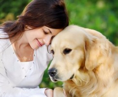 Какие породы собак подойдут разным знакам Зодиака