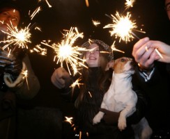 Как помочь собаке пережить сезон фейерверков