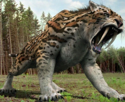 С возвращением: 10 вымерших животных, которые вскоре могут вернуться