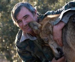 Испанец 12 лет прожил с волками