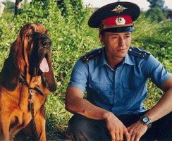 Какая собака снималась в фильме «Участок»