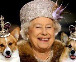 Какая порода собаки у английской королевы