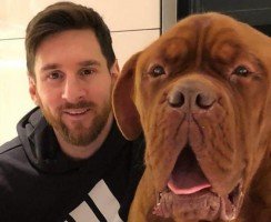 Какая собака у Месси