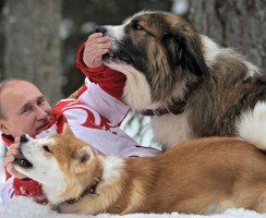 Какая собака у Путина