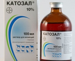 Катозал для кошек: инструкция по применению, противопоказания