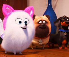 Подборка фильмов ко всемирному дню домашних животных