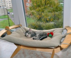 Гамак для кошки: выбираем в магазине или делаем своими руками