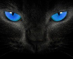 Охос Азулес: голубоглазое чудо