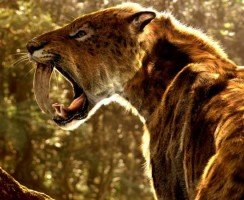 Саблезубые кошки