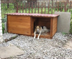 Чем лучше утеплить будку для собаки