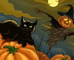 Сколько жизней у кошки