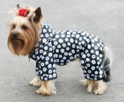 Комбинезон для собаки своими руками — выкройки, замеры, пошаговая инструкция