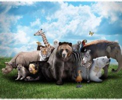 Малоизвестные факты о животных, перевернувшие стереотипы