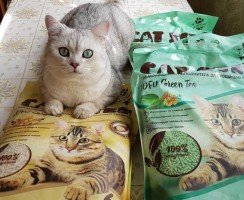 Наполнитель для кошачьего туалета Cat Step: преимущества и недостатки