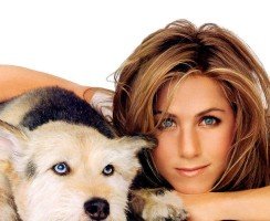 Животные знаменитостей: обычные и не очень