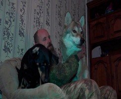 Волгоградец спас от гибели волчонка
