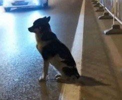 День сменялся ночью, а он продолжал ждать и надеяться