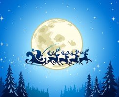 Интересные факты об оленях Санта-клауса