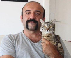 Турок спас трёхмесячного двулапого котёнка и забрал жить к себе